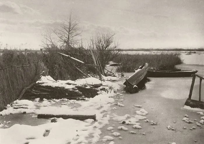Framed Print : The First Frost, 1886. Creator: Peter Henry Emerson Framed Print : The First Frost, 1886. Creator: Peter Henry Emerson