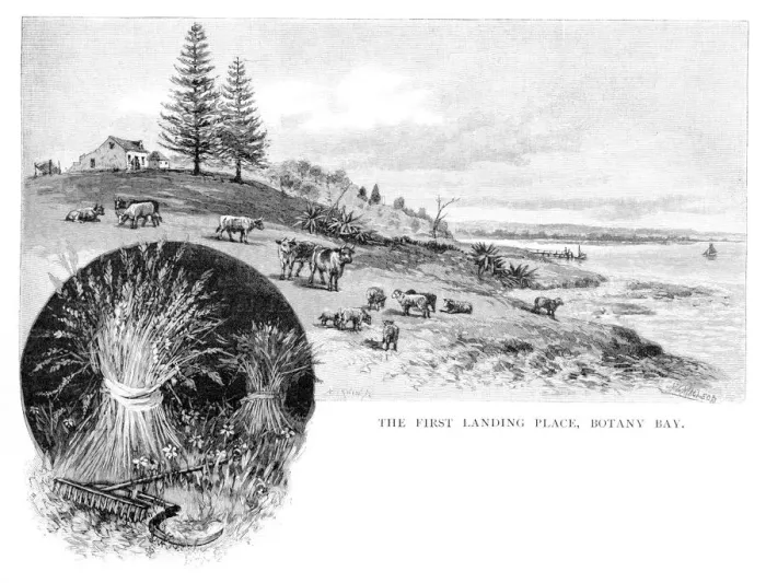 Framed Print : The first landing place, Botany Bay, New South Wales, Australia, 1886. Artist: W Macleod Framed Print : The first landing place, Botany Bay, New South Wales, Australia, 1886. Artist: W Macleod