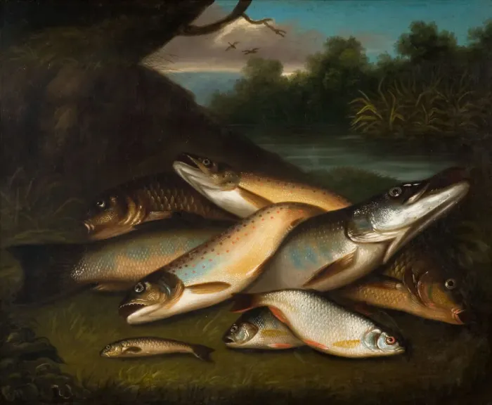 Framed Print : Fish, 1790. Creator: Moses Haughton Framed Print : Fish, 1790. Creator: Moses Haughton