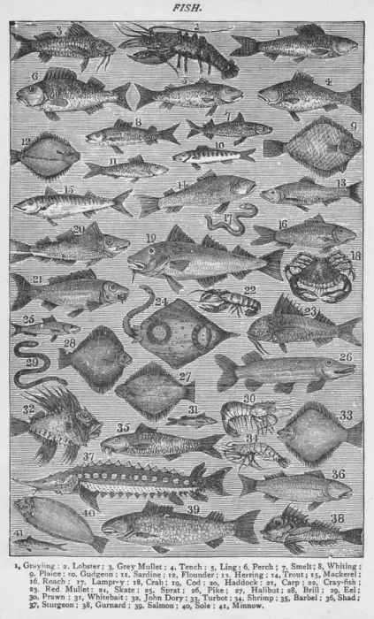 Framed Print : Fish, 1907, (1907) Framed Print : Fish, 1907, (1907)