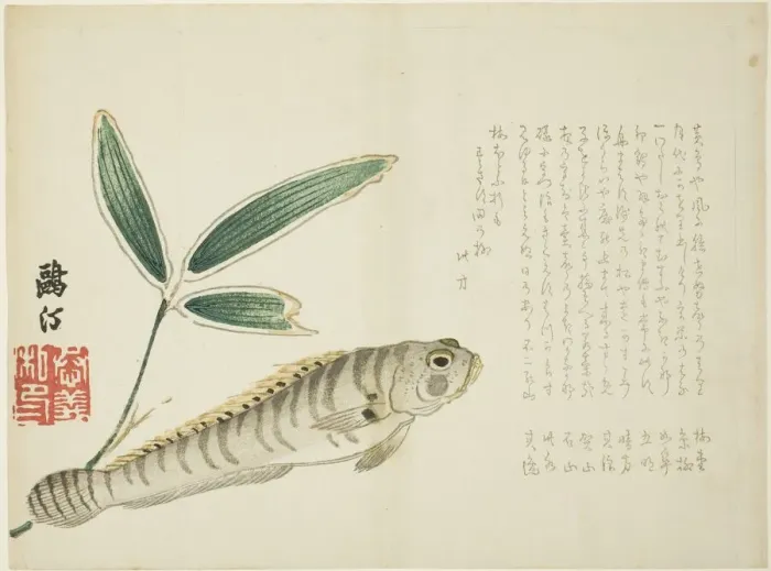 Framed Print : Fish and Bamboo, Japan, 1860s. Creator: Maezawa Otei Framed Print : Fish and Bamboo, Japan, 1860s. Creator: Maezawa Otei