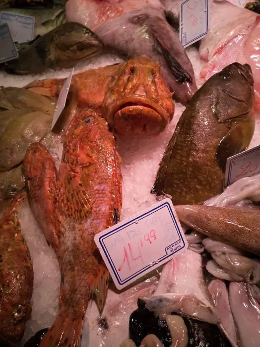 Framed Print : Fish at La Bouqueria, Barcelona, Spain, 2020. Creator: Ethel Davies Framed Print : Fish at La Bouqueria, Barcelona, Spain, 2020. Creator: Ethel Davies