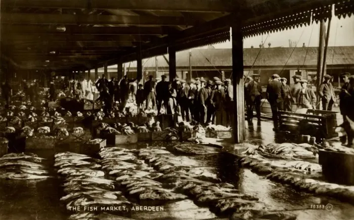 Framed Print : The Fish Market, Aberdeen, late 19th-early 20th century. Creator: Unknown Framed Print : The Fish Market, Aberdeen, late 19th-early 20th century. Creator: Unknown