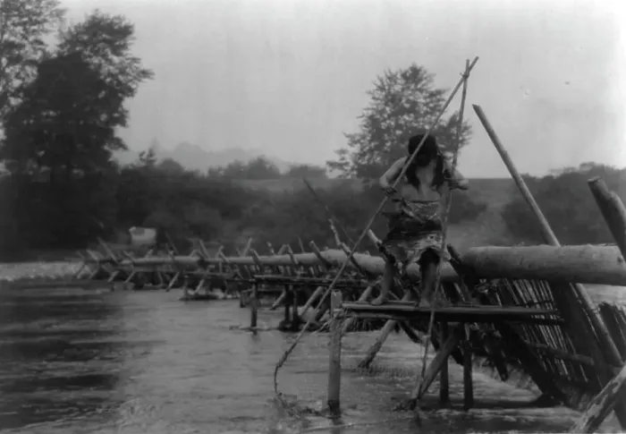 Framed Print : Fish-weir across Trinity River-Hupa, 1923. Creator: Edward Sheriff Curtis Framed Print : Fish-weir across Trinity River-Hupa, 1923. Creator: Edward Sheriff Curtis