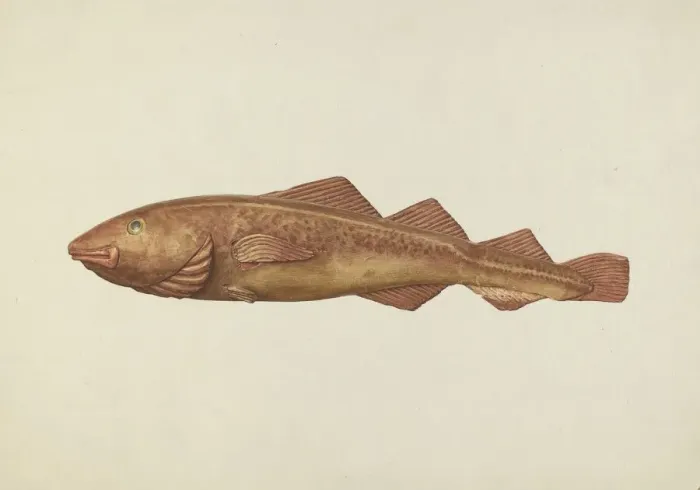 Framed Print : Fish Woodcarving, probably 1938. Creator: Ingrid Selmer-Larsen Framed Print : Fish Woodcarving, probably 1938. Creator: Ingrid Selmer-Larsen