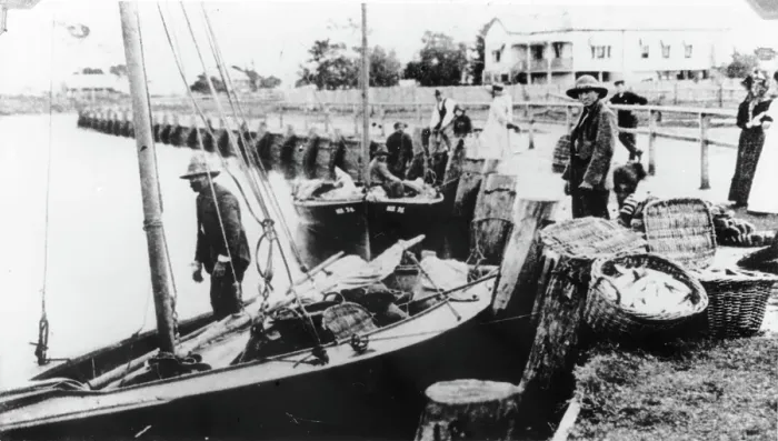 Framed Print : Fishermen unloading their catch from boats at Wynnum Creek, 1907. Creator: Unknown Framed Print : Fishermen unloading their catch from boats at Wynnum Creek, 1907. Creator: Unknown