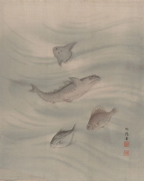 Fishes, ca. 1890-92. Creator: Seki Shuko