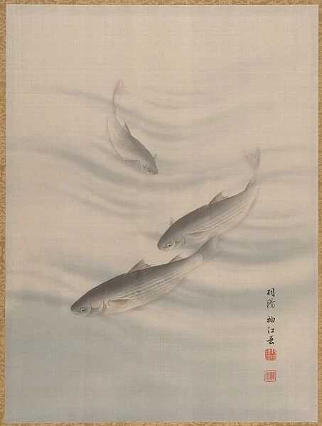 Fishes Swimming, ca. 1890-92. Creator: Seki Shuko