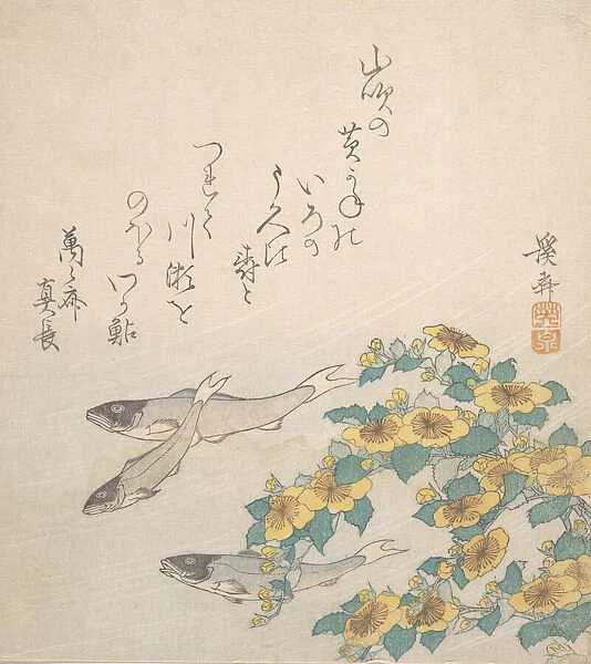 Fishes Swimming with Yellow Flowers, ca. 1830. Creator: Ikeda Eisen