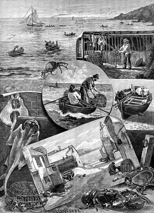Framed Print : Our Fishing Industries: Crab-Catching in Cornwall, 1883. Creator: T. S. Hayley Framed Print : Our Fishing Industries: Crab-Catching in Cornwall, 1883. Creator: T. S. Hayley