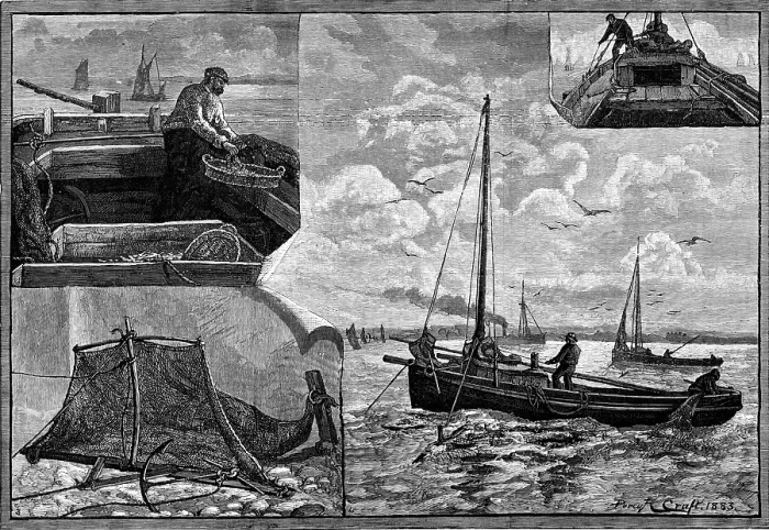 Framed Print : Our Fishing Industries: Whitebait Fishing, 1883. Creator: Unknown Framed Print : Our Fishing Industries: Whitebait Fishing, 1883. Creator: Unknown