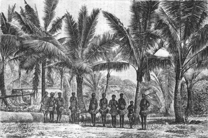 Framed Print : Fishing -Village, in grove of Coconut Trees; Some Account of New Caledonia, 1875. Creator: Unknown Framed Print : Fishing -Village, in grove of Coconut Trees; Some Account of New Caledonia, 1875. Creator: Unknown
