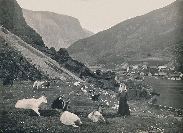 Flaam, 1914. Creator: Unknown