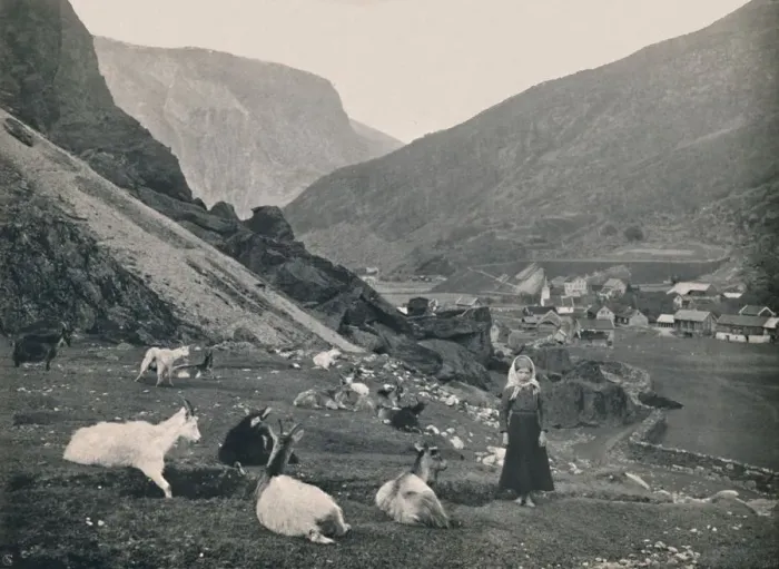 Framed Print : Flaam, 1914. Creator: Unknown Framed Print : Flaam, 1914. Creator: Unknown