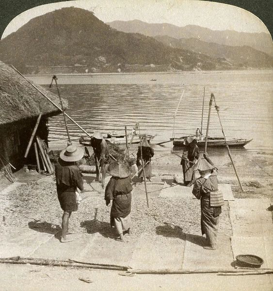 Flailing barley beside a fishing beach on the Inland Sea, Japan, 1904. Artist: Underwood & Underwood