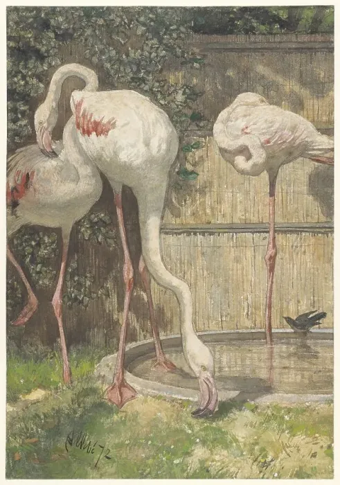Framed Print : Three Flamingos near a Basin, 1872. Creator: August Allebe Framed Print : Three Flamingos near a Basin, 1872. Creator: August Allebe