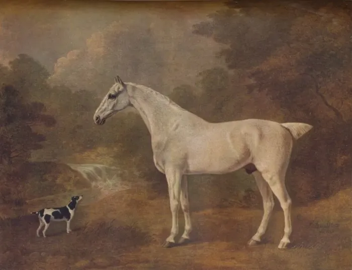 Framed Print : A Flea-Bitten Grey and a Spotted Terrier, 1803 Framed Print : A Flea-Bitten Grey and a Spotted Terrier, 1803