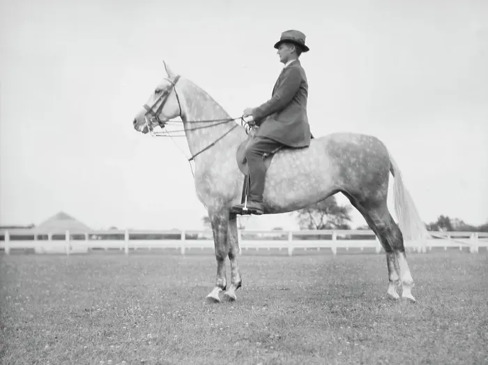 Framed Print : Fletcher, Mr. on a horse, 1933 July. Creator: Arnold Genthe Framed Print : Fletcher, Mr. on a horse, 1933 July. Creator: Arnold Genthe