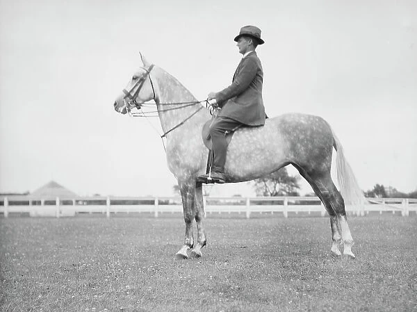 Fletcher, Mr. on a horse, 1933 July. Creator: Arnold Genthe