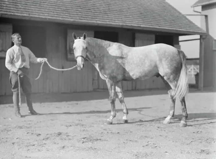 Framed Print : Fletcher, Walter D. Fletcher, with horse, 1934 Sept. Creator: Arnold Genthe Framed Print : Fletcher, Walter D. Fletcher, with horse, 1934 Sept. Creator: Arnold Genthe