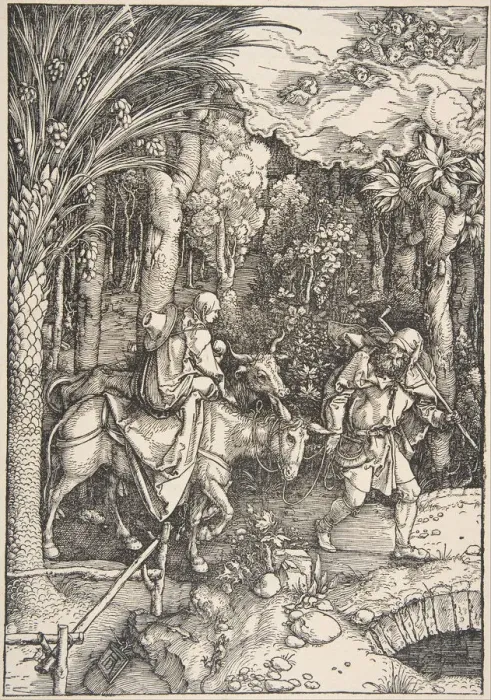 Framed Print : The Flight into Egypt, from The Life of the Virgin, Latin Edition, 1511, 1511 Framed Print : The Flight into Egypt, from The Life of the Virgin, Latin Edition, 1511, 1511