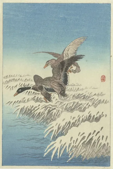Framed Print : Flock of ducks flying above snowy reed collar. Creator: Ohara, Koson (1877-1945) Framed Print : Flock of ducks flying above snowy reed collar. Creator: Ohara, Koson (1877-1945)
