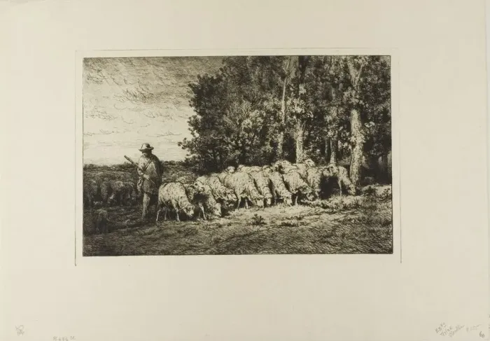Framed Print : Flock of Sheep at the Edge of a Wood, 1877. Creator: Charles Emile Jacque Framed Print : Flock of Sheep at the Edge of a Wood, 1877. Creator: Charles Emile Jacque