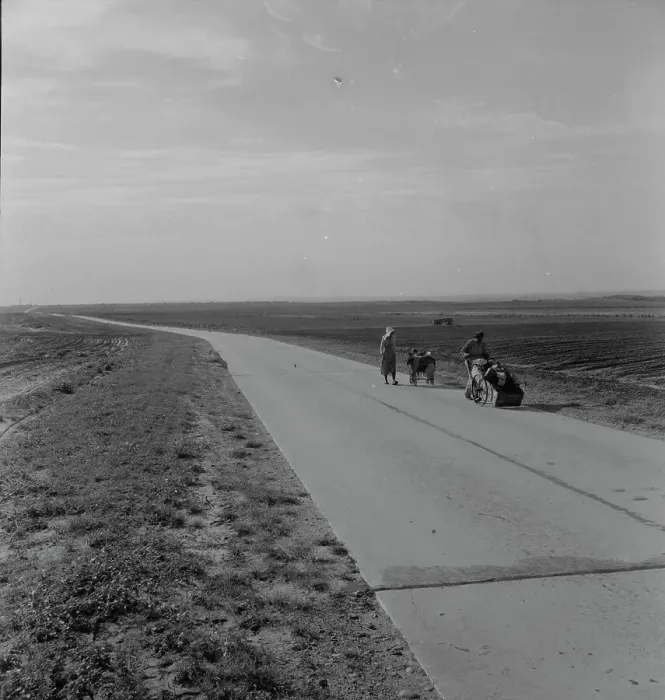 Framed Print : Flood refugee family near Memphis, Texas, 1937. Creator: Dorothea Lange Framed Print : Flood refugee family near Memphis, Texas, 1937. Creator: Dorothea Lange