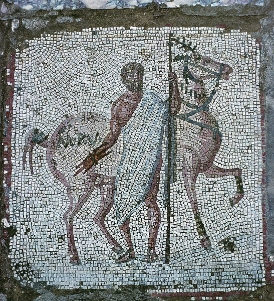Floor mosaic from a Roman villa