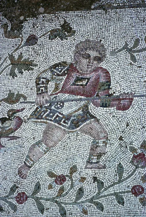 Framed Print : Floor mosaic from a Roman villa Framed Print : Floor mosaic from a Roman villa