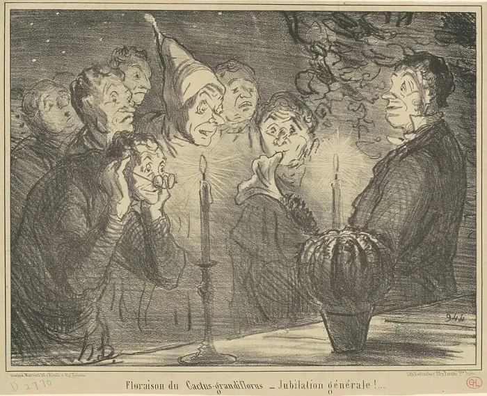 Framed Print : Floraison du Cactus-grandiflorus... 19th century. Creator: Honore Daumier Framed Print : Floraison du Cactus-grandiflorus... 19th century. Creator: Honore Daumier