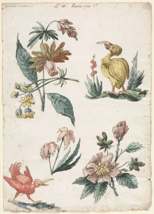 Framed Print : Floral Designs with Two Birds, 1774. Creator: Giacomo Cavenezia (Italian) Framed Print : Floral Designs with Two Birds, 1774. Creator: Giacomo Cavenezia (Italian)