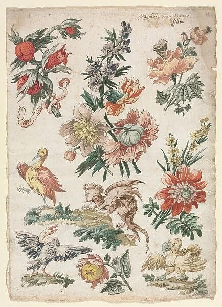 Floral Designs with Birds and Griffon, 1784. Creator: Giacomo Cavenezia (Italian)