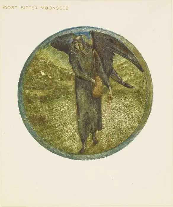 Framed Print : The Flower Book - Most Bitter Moonseed, 1905. Creator: Sir Edward Coley Burne-Jones Framed Print : The Flower Book - Most Bitter Moonseed, 1905. Creator: Sir Edward Coley Burne-Jones