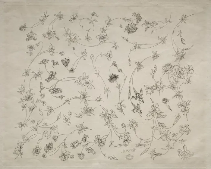 Framed Print : Flower designs for plates and borders (no. 14), 1872. Creator: Felix Bracquemond (French Framed Print : Flower designs for plates and borders (no. 14), 1872. Creator: Felix Bracquemond (French