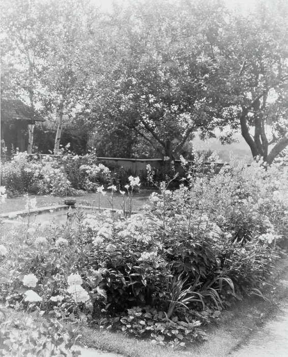 Framed Print : Flower garden, at the home of Mrs. Francis B. Harrington, Ipswich, Massachusetts, c1920 - 1940. Creator: Frances Benjamin Johnston Framed Print : Flower garden, at the home of Mrs. Francis B. Harrington, Ipswich, Massachusetts, c1920 - 1940. Creator: Frances Benjamin Johnston