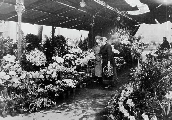 Flower market, Quai de la Cité, 1925. Creator: Frances Benjamin Johnston