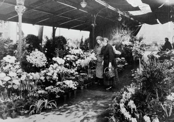 Framed Print : Flower market, Quai de la Cité, 1925. Creator: Frances Benjamin Johnston Framed Print : Flower market, Quai de la Cité, 1925. Creator: Frances Benjamin Johnston
