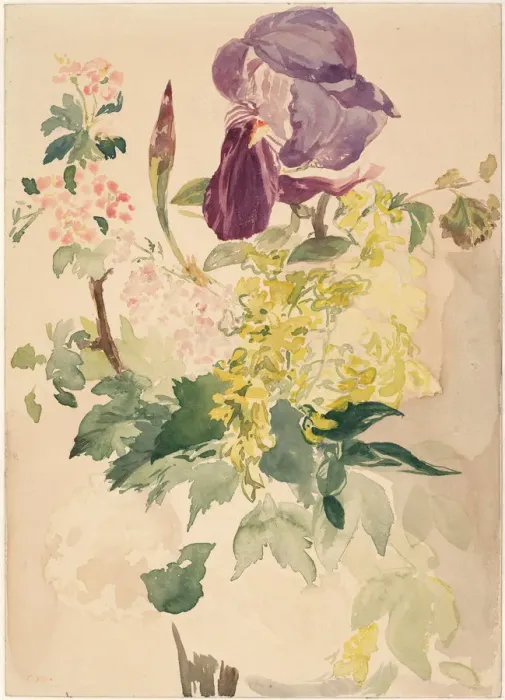 Framed Print : Flower Piece with Iris, Laburnum, and Geranium, 1880. Artist: Manet, Edouard (1832-1883) Framed Print : Flower Piece with Iris, Laburnum, and Geranium, 1880. Artist: Manet, Edouard (1832-1883)