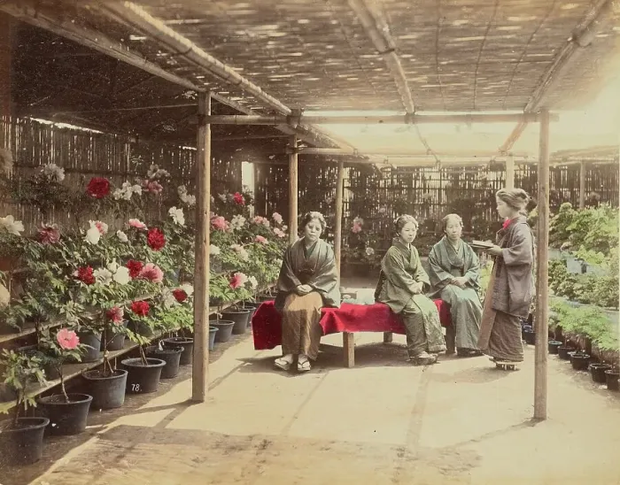 Framed Print : Flower Show, 1870s-1890s. Creator: Kusakabe Kimbei Framed Print : Flower Show, 1870s-1890s. Creator: Kusakabe Kimbei