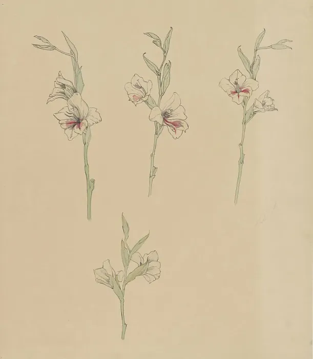 Framed Print : Flower studies, 1887-1924. Creator: Julie de Graag Framed Print : Flower studies, 1887-1924. Creator: Julie de Graag