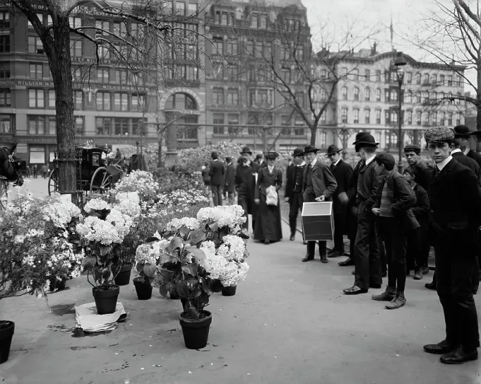 Framed Print : Flower vender's [sic] Easter display in Union Square Park, New York, between 1900 and 1910. Creator: Unknown