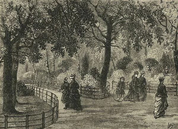 The Flower Walks, Kensington Gardens, c1876. Creator: Unknown