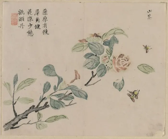 Framed Print : Flowering Branch with Bees, 18th Century. Creator: Unknown Framed Print : Flowering Branch with Bees, 18th Century. Creator: Unknown