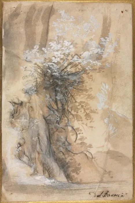 Framed Print : Flowering Bush above an Eroded Bank, 1565-1570. Creator: Federico Barocci (Italian, 1528-1612) Framed Print : Flowering Bush above an Eroded Bank, 1565-1570. Creator: Federico Barocci (Italian, 1528-1612)