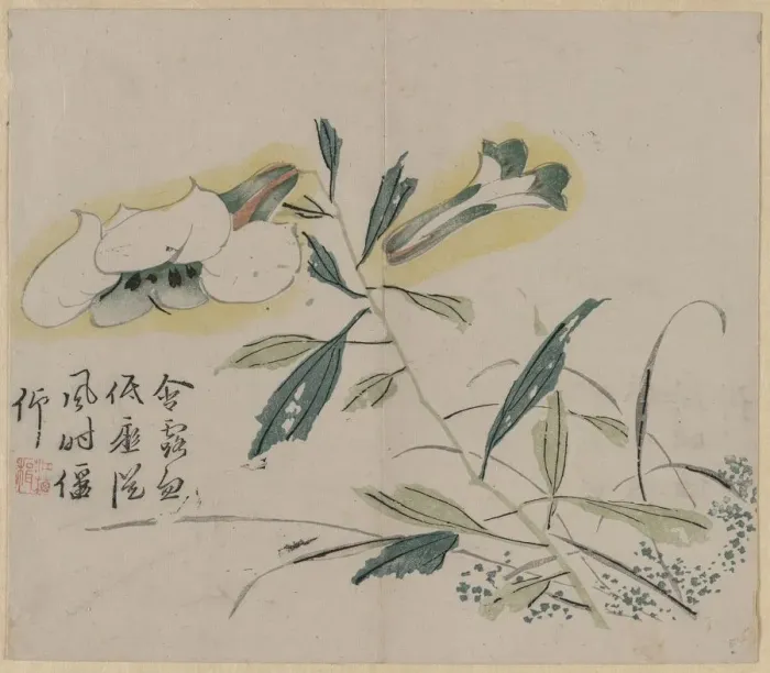 Framed Print : Flowering Lily, 18th Century. Creator: Unknown Framed Print : Flowering Lily, 18th Century. Creator: Unknown
