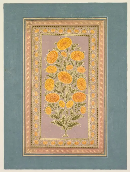 Framed Print : Flowering Marigold, c. 1765. Creator: Hunhar II (Indian, active mid-1700s), style of Framed Print : Flowering Marigold, c. 1765. Creator: Hunhar II (Indian, active mid-1700s), style of