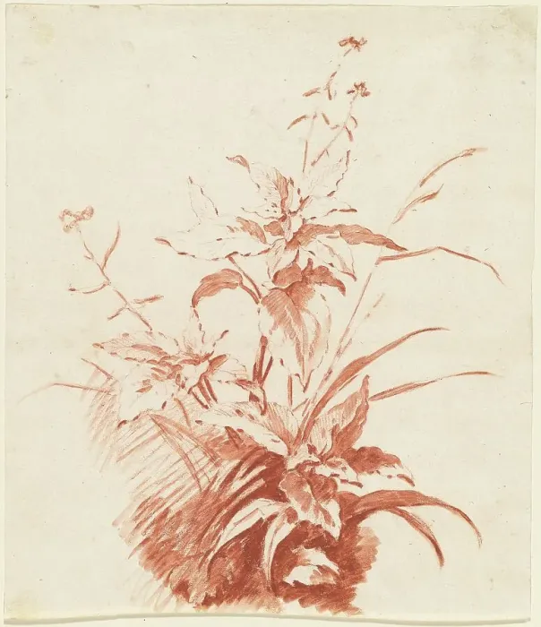 Framed Print : Flowering Plant with Grass, mid 1760s. Creator: Jean Baptiste Marie Huet Framed Print : Flowering Plant with Grass, mid 1760s. Creator: Jean Baptiste Marie Huet