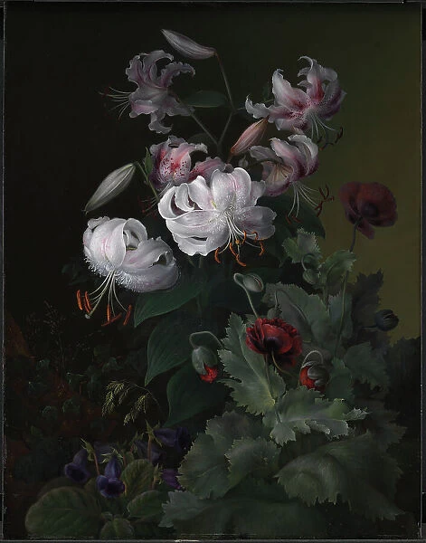 Flowering plants, 1845. Creator: Hermania Neergaard
