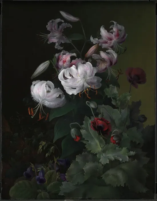 Framed Print : Flowering plants, 1845. Creator: Hermania Neergaard Framed Print : Flowering plants, 1845. Creator: Hermania Neergaard